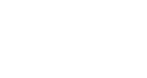 Auto Shipping Group